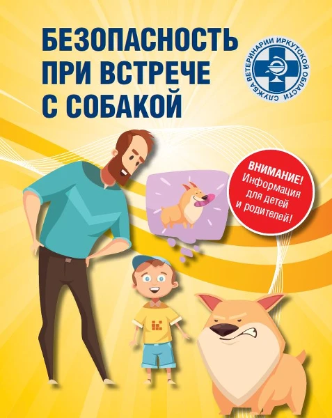 Правила поведения человека при встрече с собакой