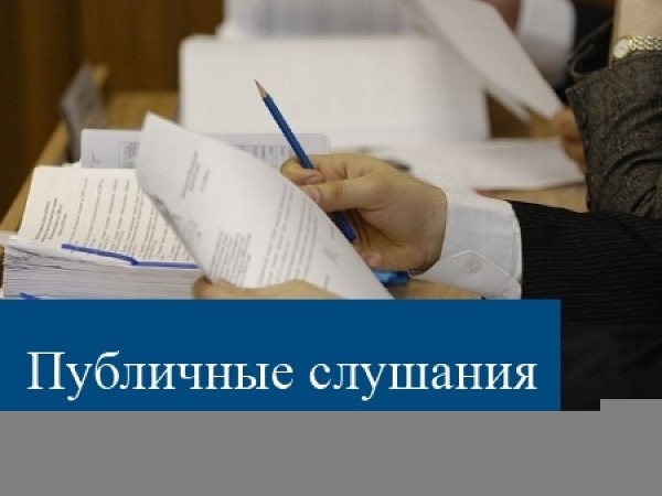 Публичные слушания по отбору мероприятий для реализации в рамках проекта народных инициатив в 2025 году