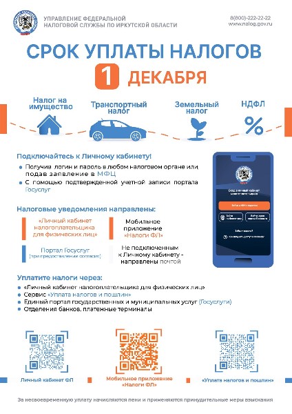 Уплата имущественных налогов физическими лицами в 2025 году